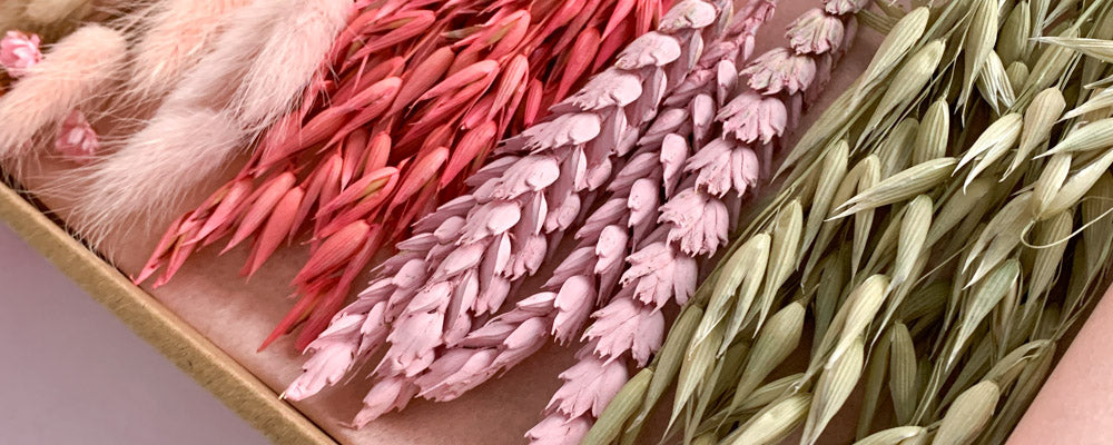 Letterbox Flowers