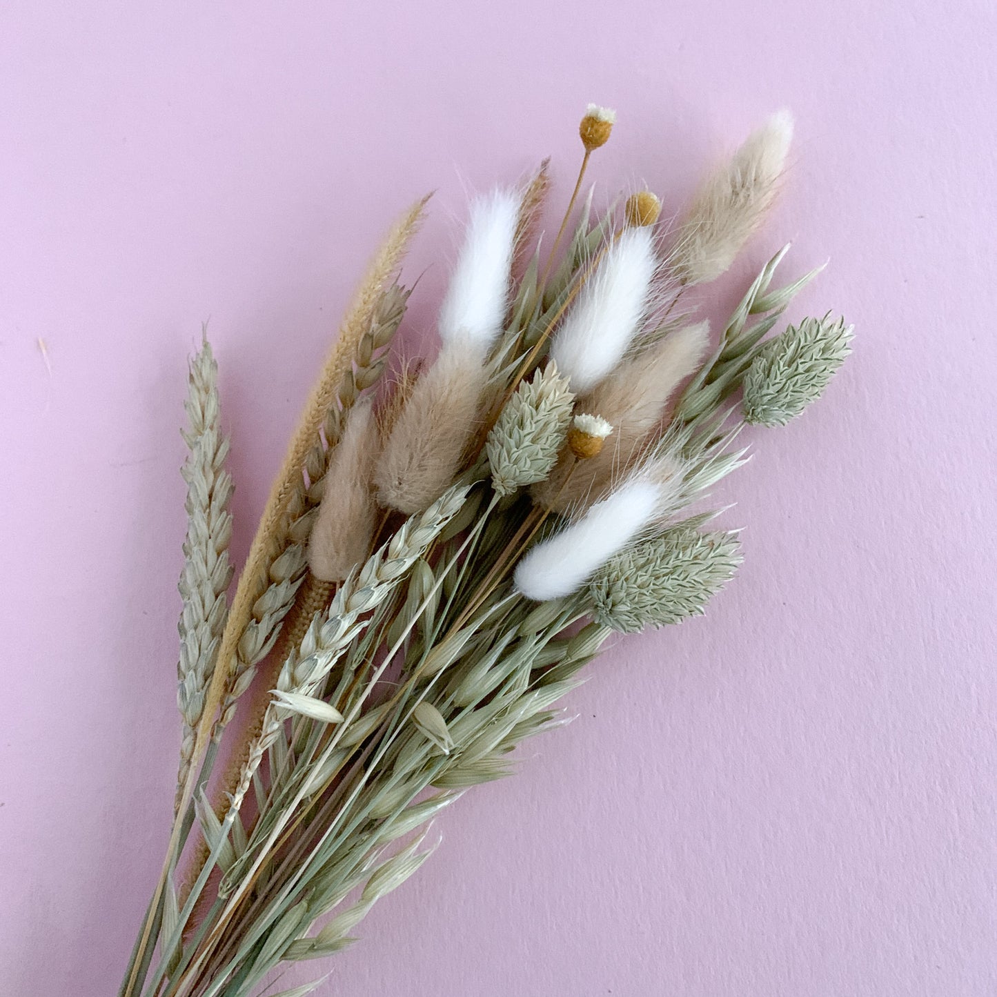 sage dried flower mini bunch for cake decoration