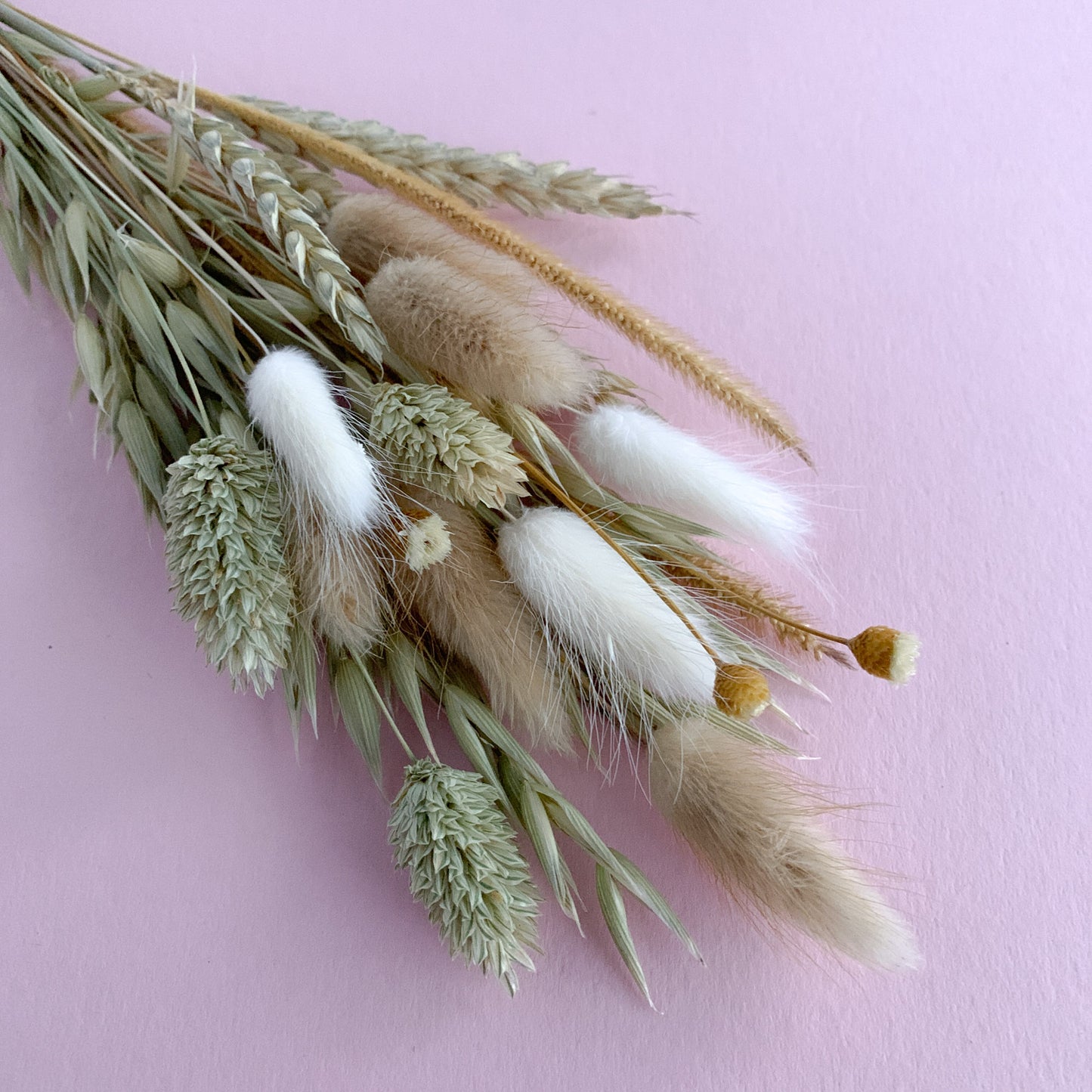 sage dried flower bunch for cakes