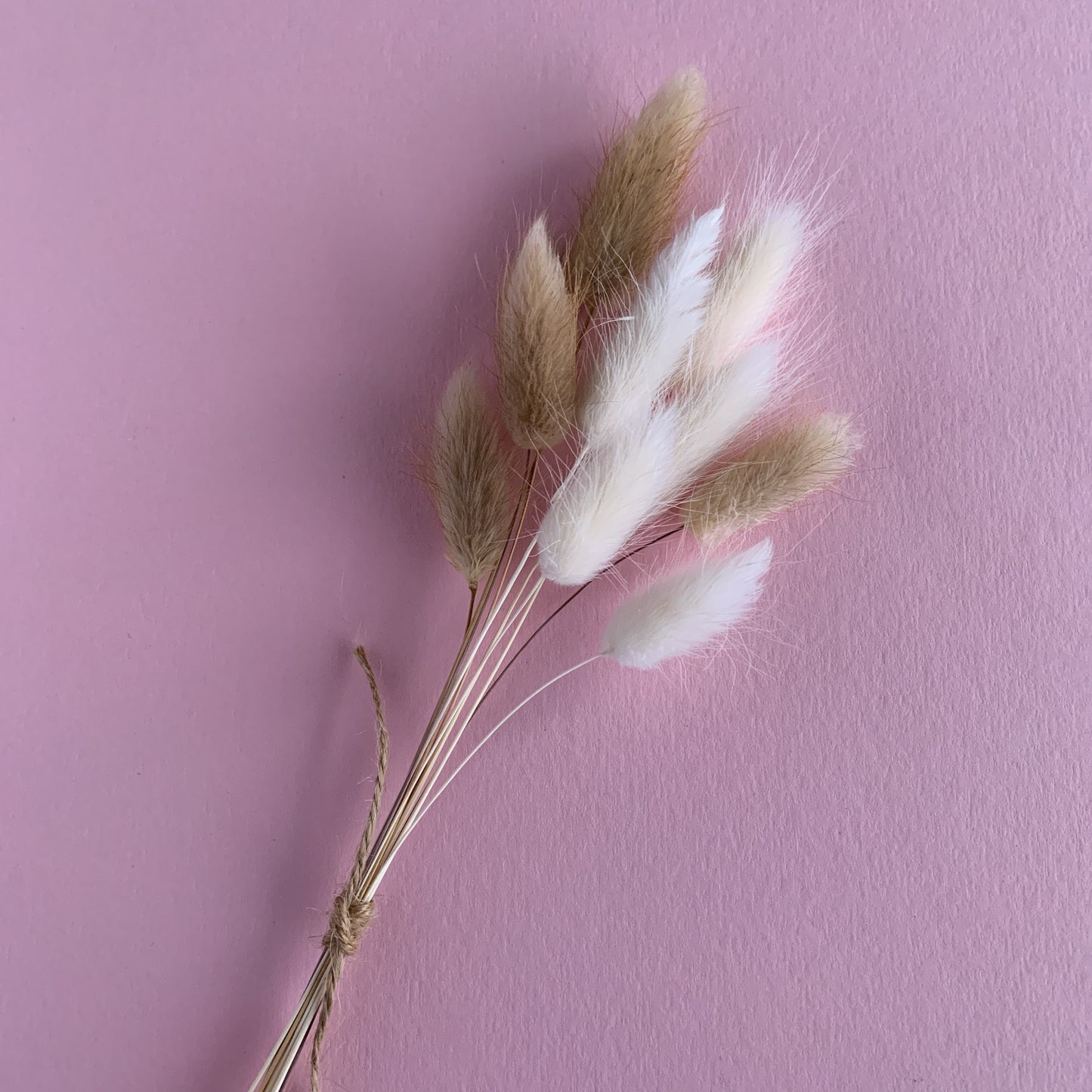 bunny tails bunch for cake topper