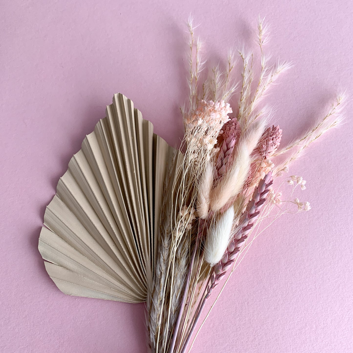 nude palm spear and pink dried flowers