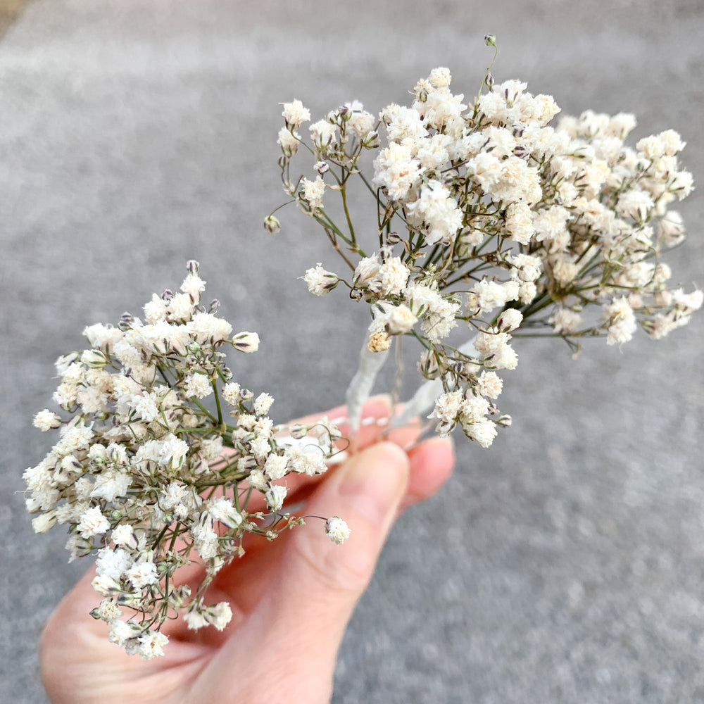 
                      
                        Gypsophila hair pins
                      
                    