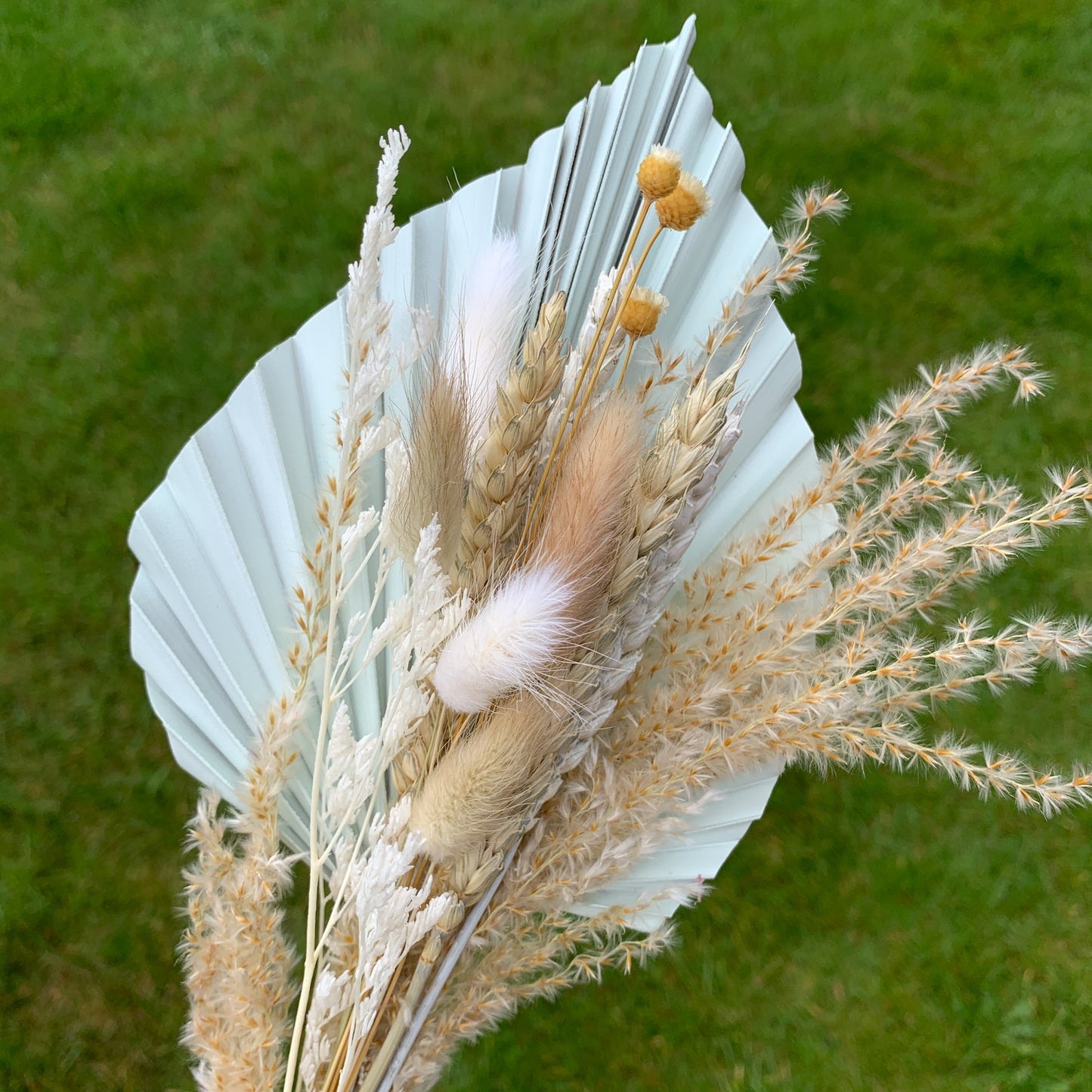 pale sage dried flowers for cake decor