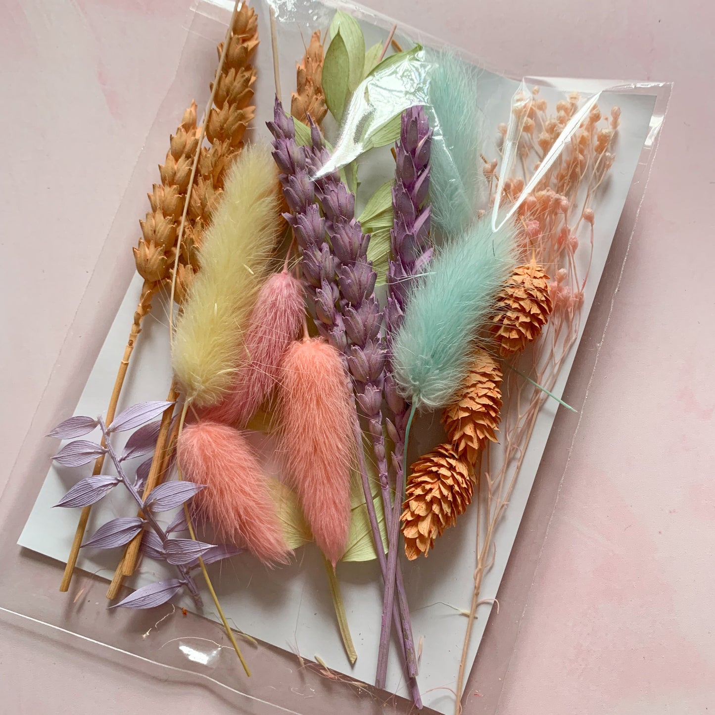 Dried flower craft pack