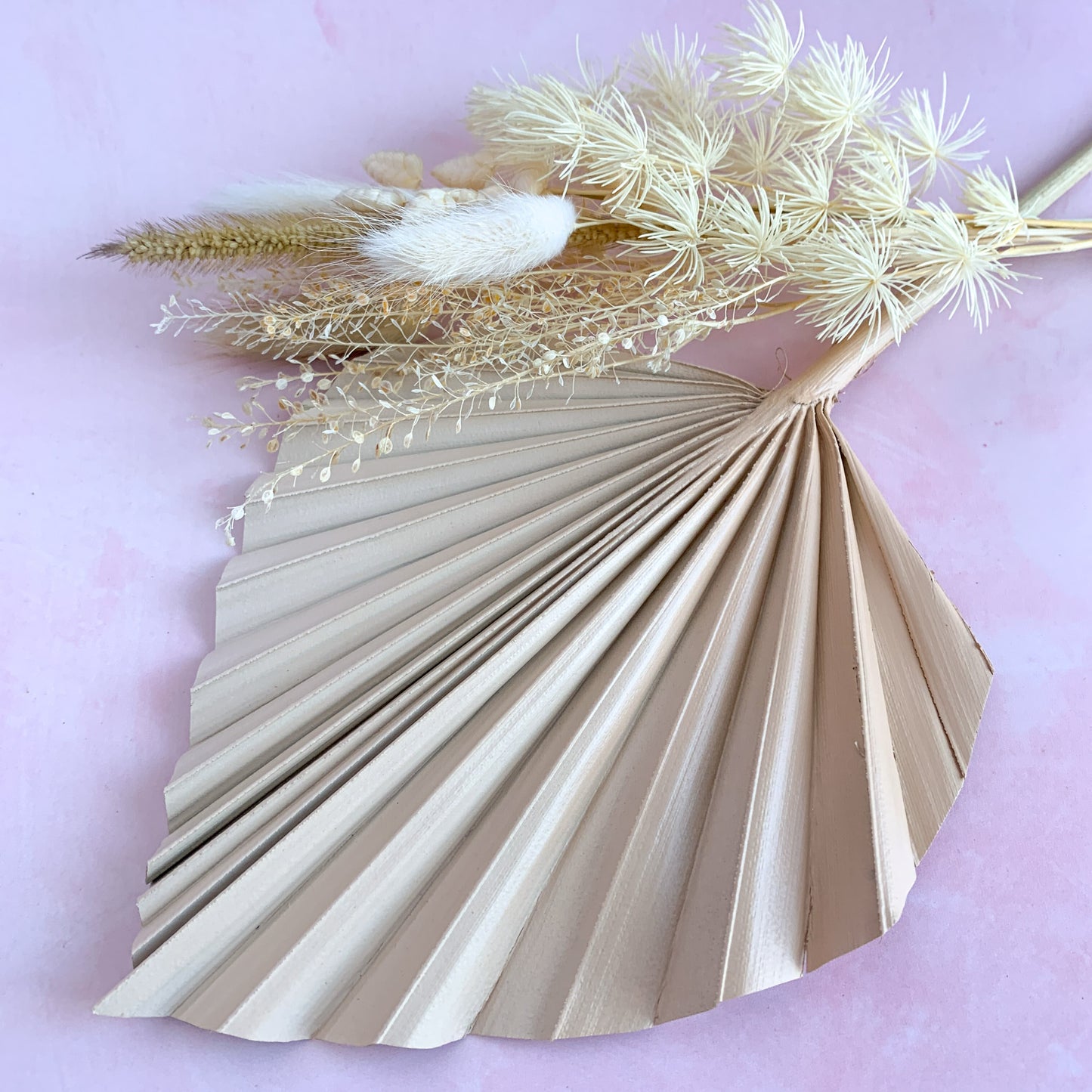 Latte ombre dried palm spear set
