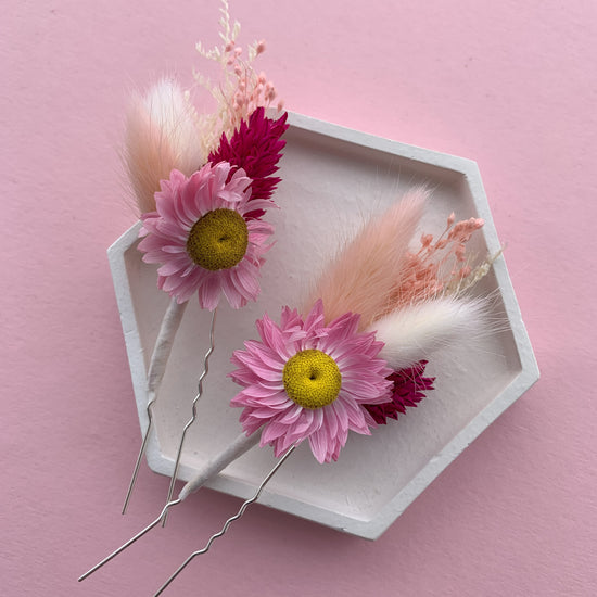 Hot Pink daisy dried flower hair pins
