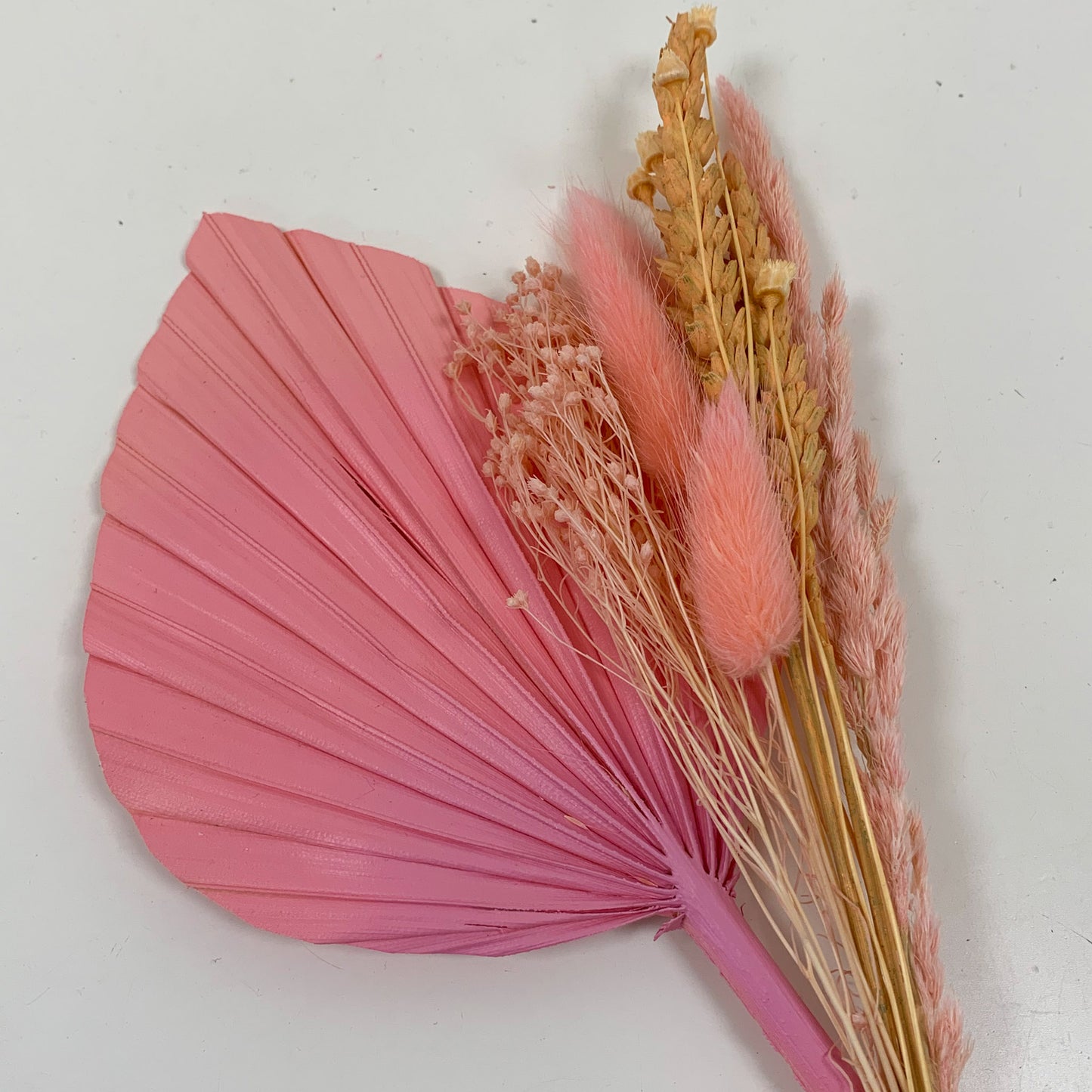 Pink peach dried palm spear set - not so perfect