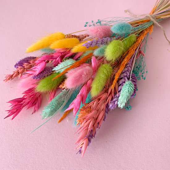 Disco pop small dried flower bunch