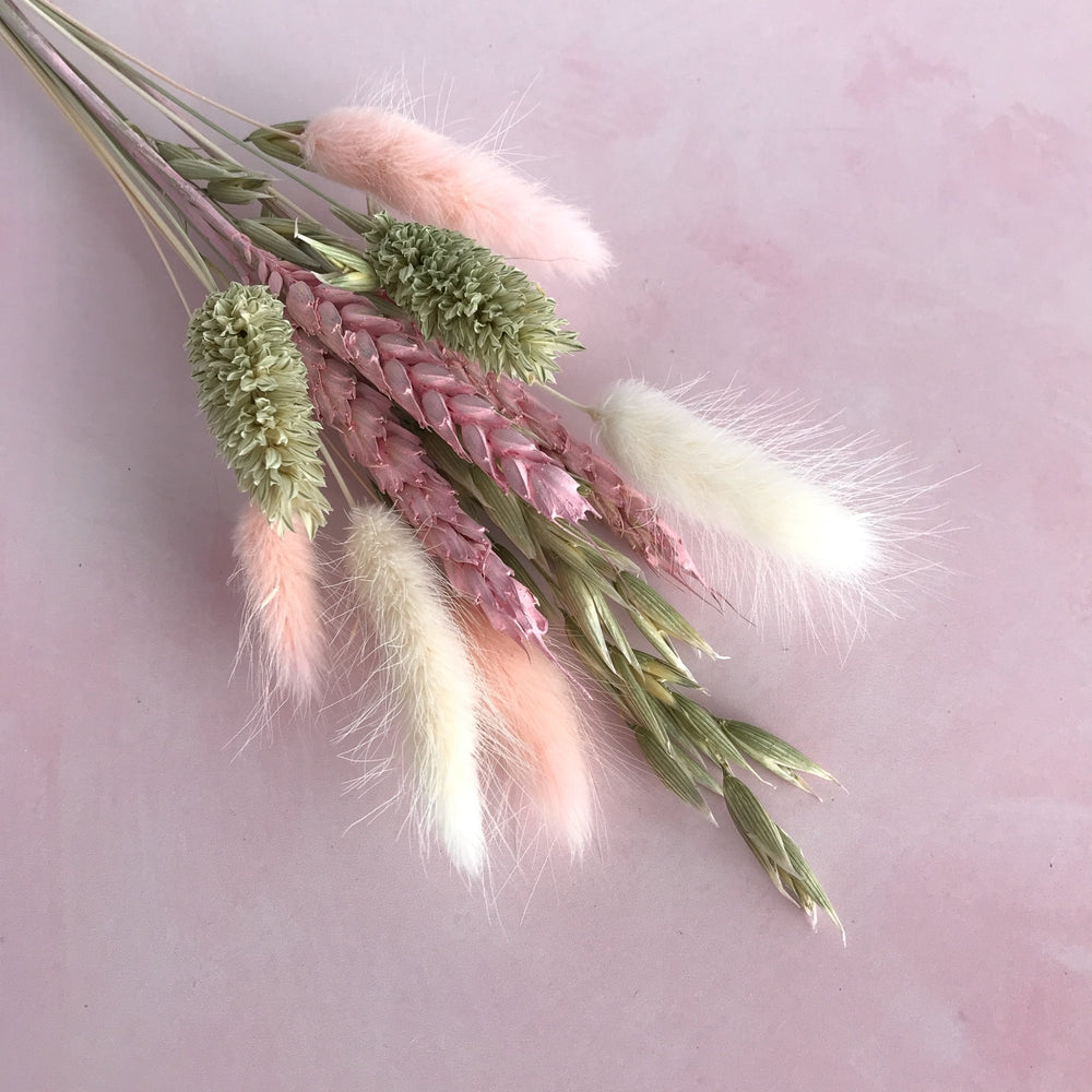 pink sage dried flowers