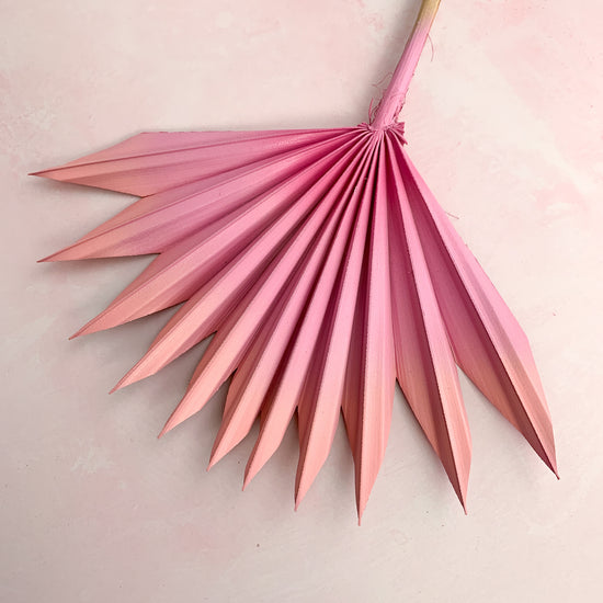 Pink ombre sun palm
